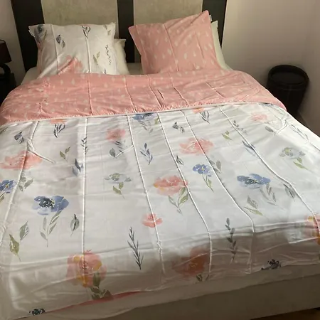 Du Centre Alloggio in famiglia Annemasse